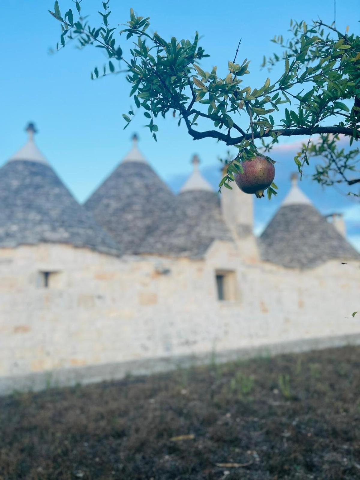 Scardino Trulli Hotel Locorotondo Exterior photo